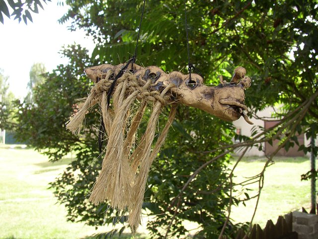 img00008.jpg