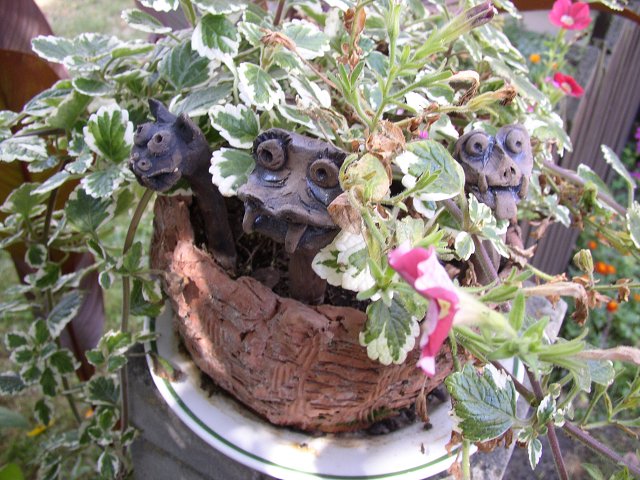 img00009.jpg
