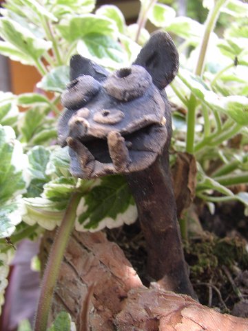 img00011.jpg