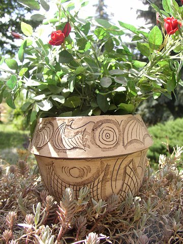 img00031.jpg